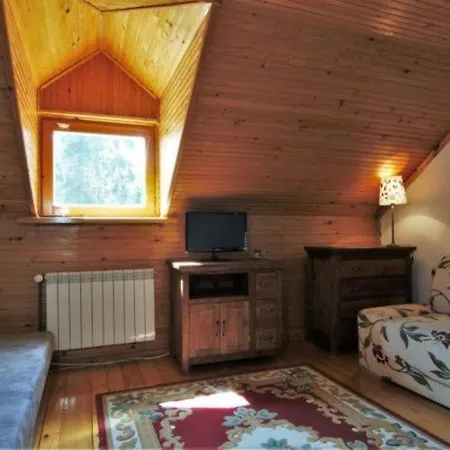 Daire Zamkowa 47 Krynica Zdroj