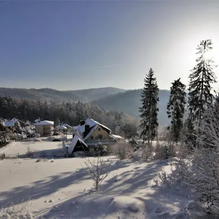 Daire Zamkowa 47 Krynica Zdroj